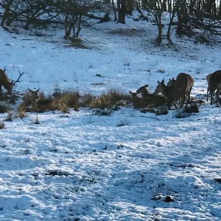 Zvernica - Family & Fun * Vlachy