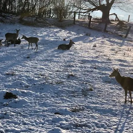 Zvernica - Family & Fun Apartamento Vlachy