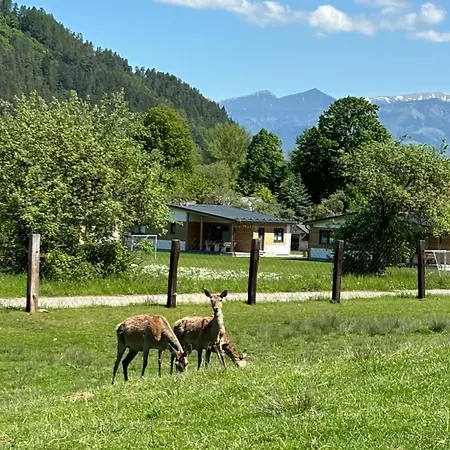 Zvernica - Family & Fun Apartamento *