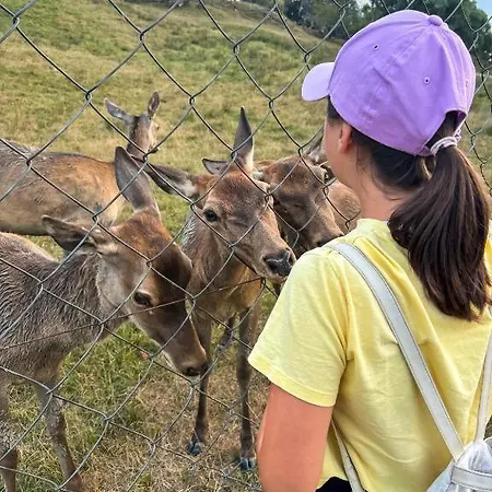 Zvernica - Family & Fun *